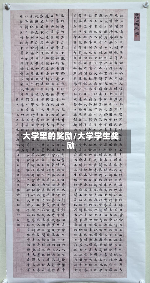 大学里的奖励/大学学生奖励-第3张图片