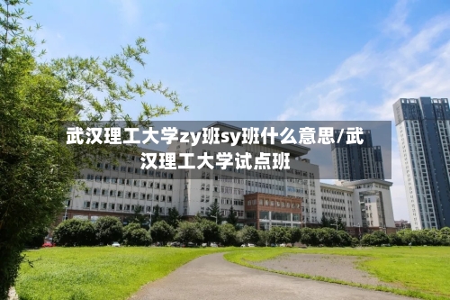 武汉理工大学zy班sy班什么意思/武汉理工大学试点班-第3张图片