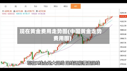 现在黄金费用走势图(中国黄金走势费用图)-第2张图片