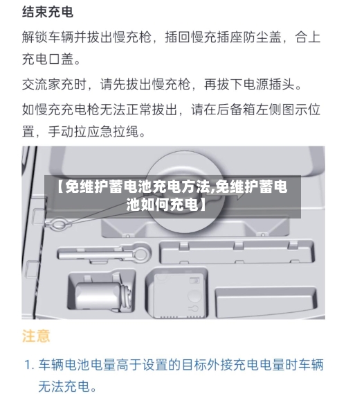 【免维护蓄电池充电方法,免维护蓄电池如何充电】