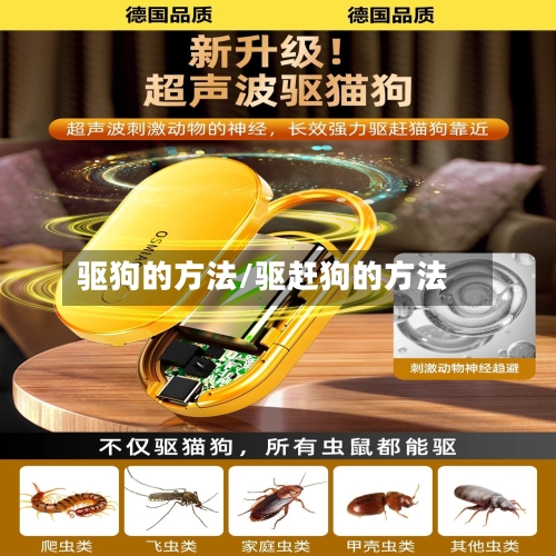 驱狗的方法/驱赶狗的方法-第2张图片