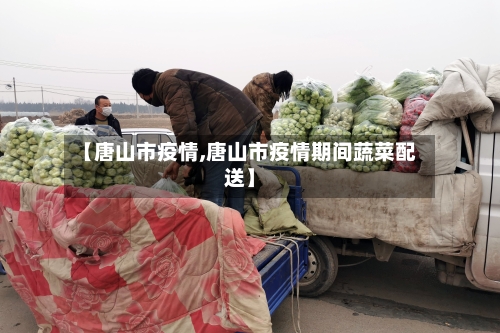 【唐山市疫情,唐山市疫情期间蔬菜配送】