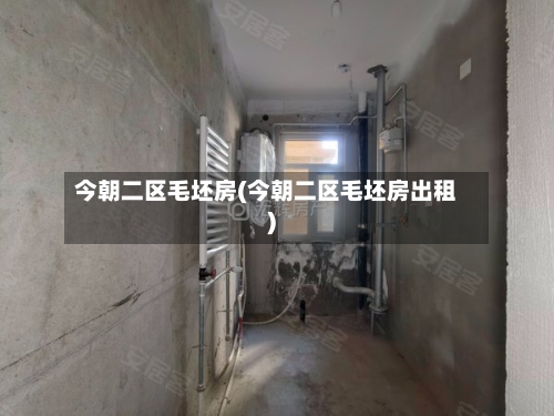 今朝二区毛坯房(今朝二区毛坯房出租)