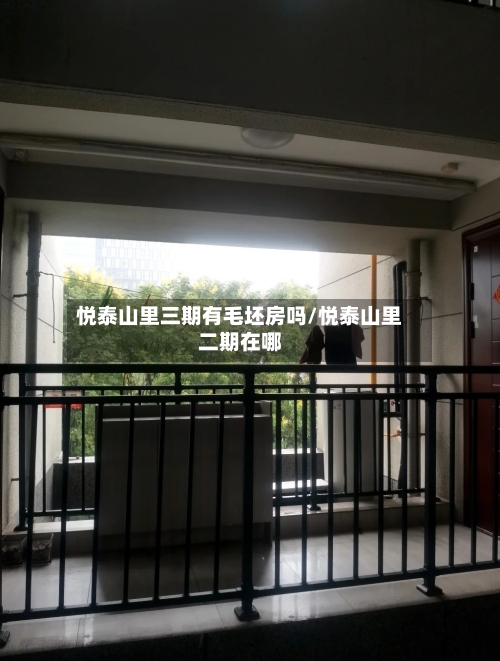 悦泰山里三期有毛坯房吗/悦泰山里二期在哪