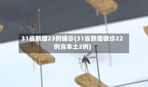 31省新增23例确诊(31省新增确诊22例含本土2例)-第2张图片