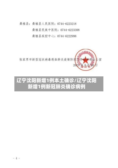 辽宁沈阳新增1例本土确诊/辽宁沈阳新增1例新冠肺炎确诊病例