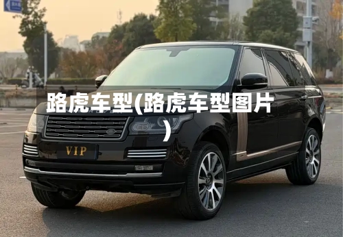 路虎车型(路虎车型图片)