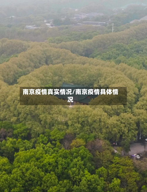 南京疫情真实情况/南京疫情具体情况
