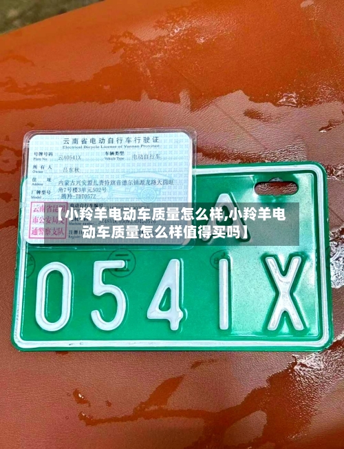 【小羚羊电动车质量怎么样,小羚羊电动车质量怎么样值得买吗】-第3张图片