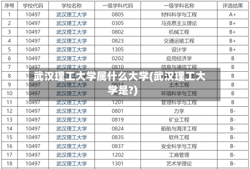 武汉理工大学属什么大学(武汉理工大学是?)