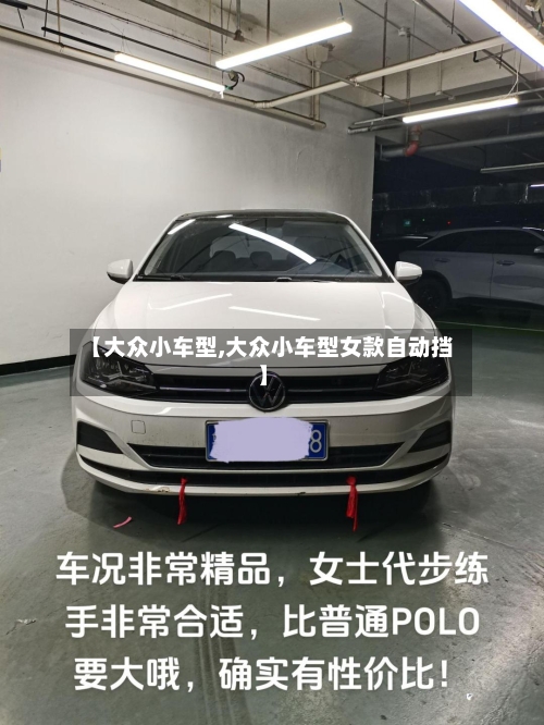 【大众小车型,大众小车型女款自动挡】-第2张图片