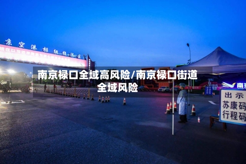 南京禄口全域高风险/南京禄口街道全域风险