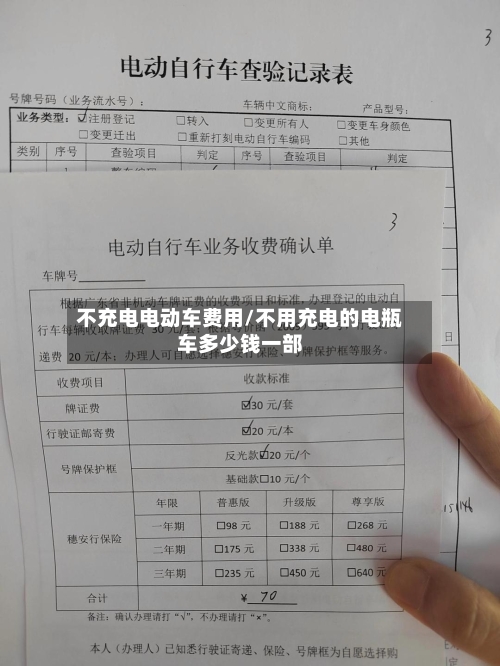 不充电电动车费用/不用充电的电瓶车多少钱一部