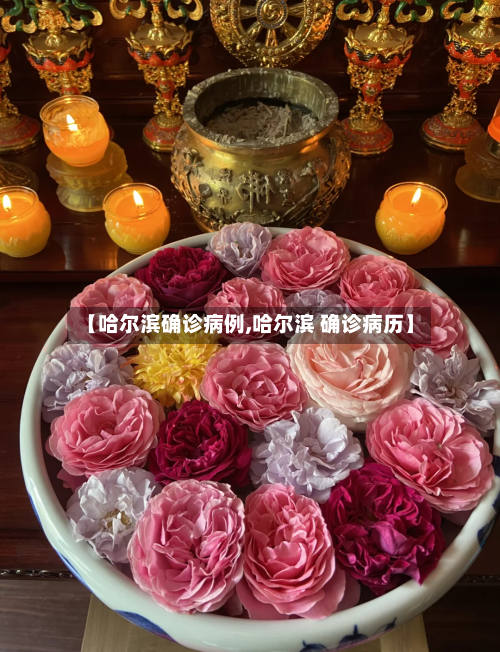 【哈尔滨确诊病例,哈尔滨 确诊病历】-第2张图片