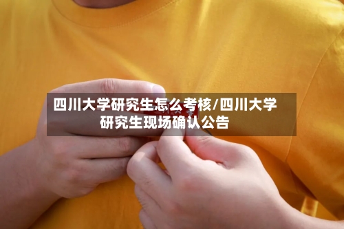 四川大学研究生怎么考核/四川大学研究生现场确认公告-第2张图片