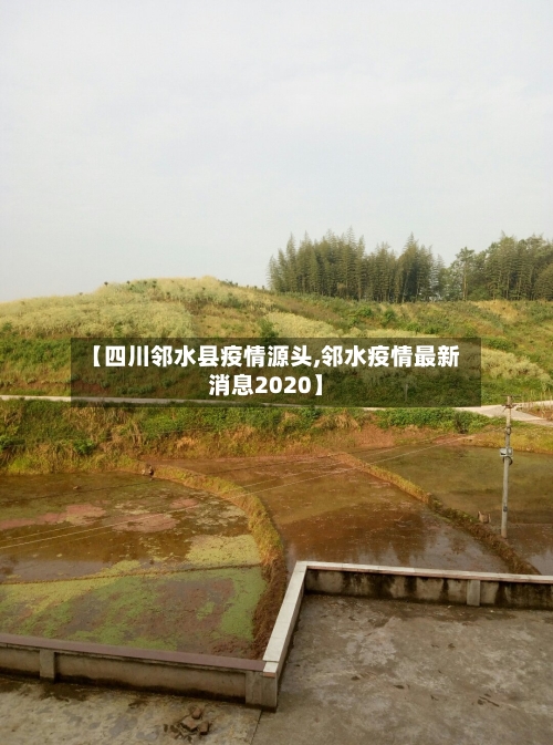 【四川邻水县疫情源头,邻水疫情最新消息2020】