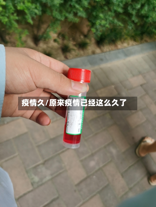 疫情久/原来疫情已经这么久了