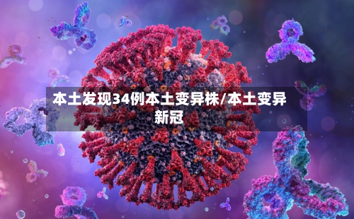 本土发现34例本土变异株/本土变异新冠