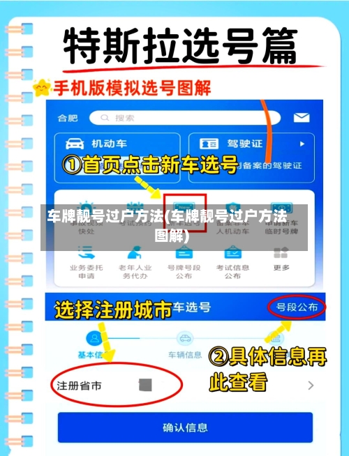 车牌靓号过户方法(车牌靓号过户方法图解)-第3张图片