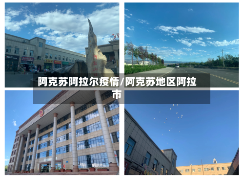 阿克苏阿拉尔疫情/阿克苏地区阿拉市-第2张图片