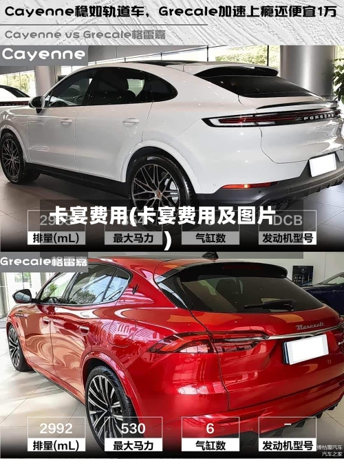 卡宴费用(卡宴费用及图片)-第2张图片