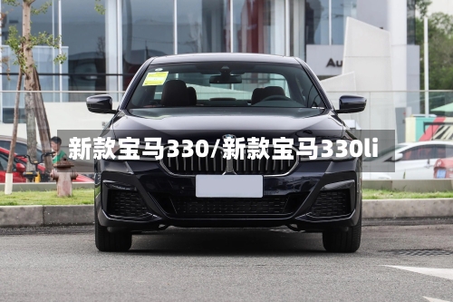 新款宝马330/新款宝马330li-第3张图片