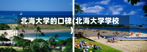 北海大学的口碑(北海大学学校)