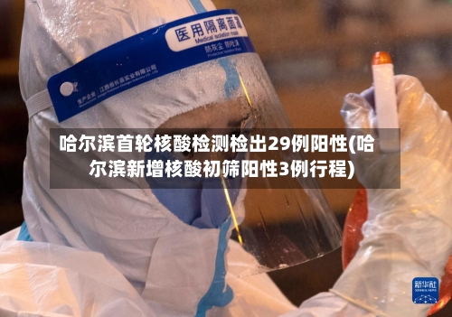 哈尔滨首轮核酸检测检出29例阳性(哈尔滨新增核酸初筛阳性3例行程)-第3张图片
