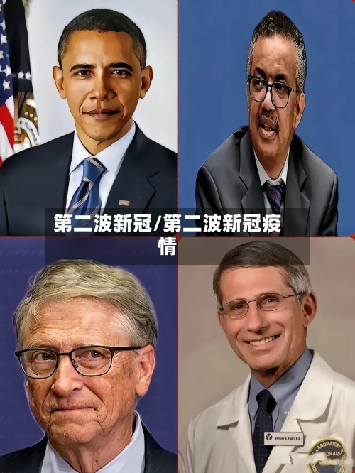 第二波新冠/第二波新冠疫情