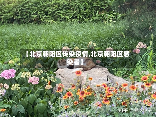 【北京朝阳区传染疫情,北京朝阳区感染者】-第2张图片