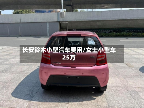 长安铃木小型汽车费用/女士小型车25万