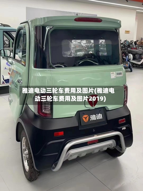 雅迪电动三轮车费用及图片(雅迪电动三轮车费用及图片2019)