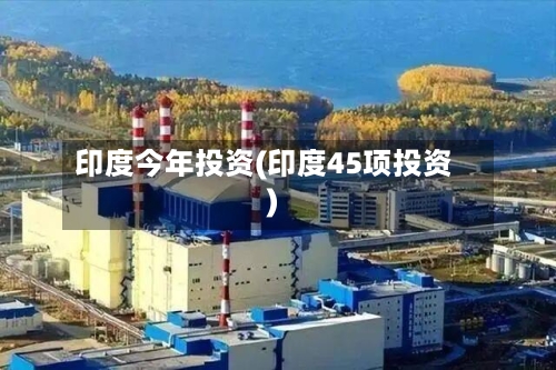 印度今年投资(印度45项投资)-第2张图片