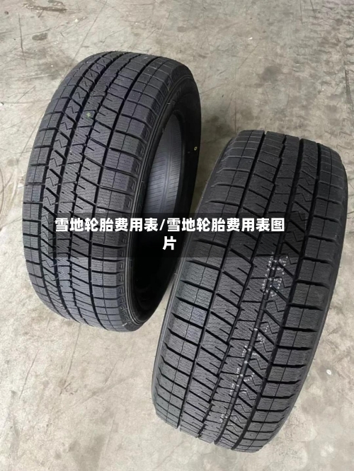 雪地轮胎费用表/雪地轮胎费用表图片