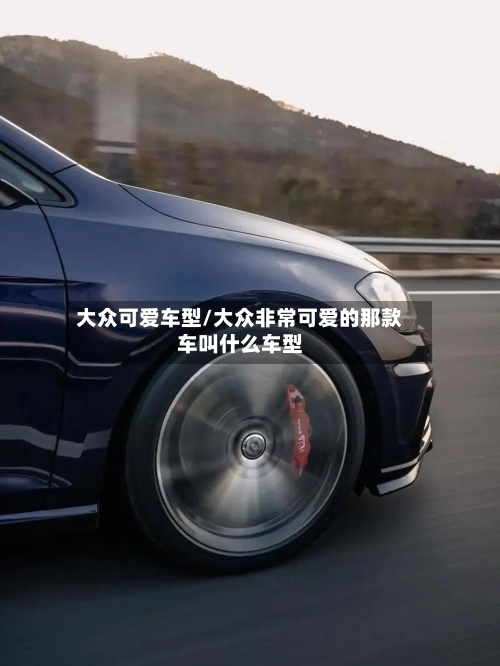 大众可爱车型/大众非常可爱的那款车叫什么车型-第3张图片