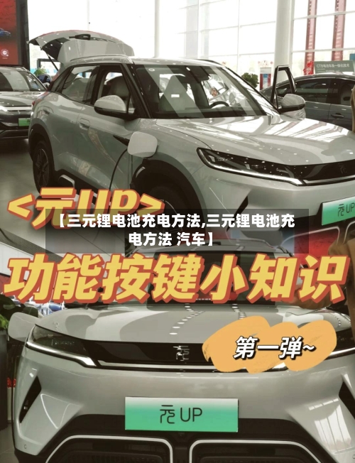 【三元锂电池充电方法,三元锂电池充电方法 汽车】
