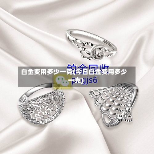 白金费用多少一克(今日白金费用多少一克)