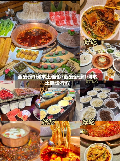 西安增1例本土确诊/西安新增1例本土确诊行程-第3张图片