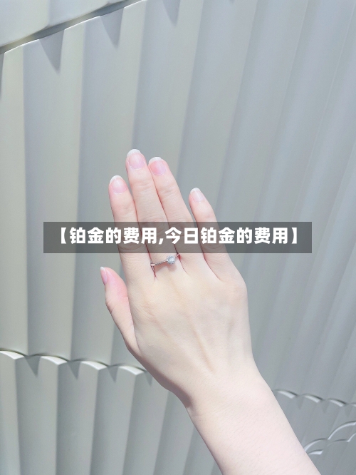 【铂金的费用,今日铂金的费用】-第3张图片
