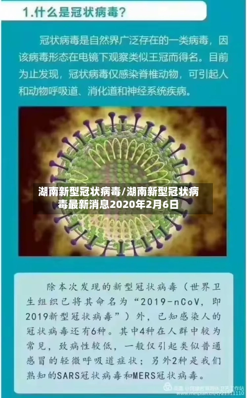 湖南新型冠状病毒/湖南新型冠状病毒最新消息2020年2月6日