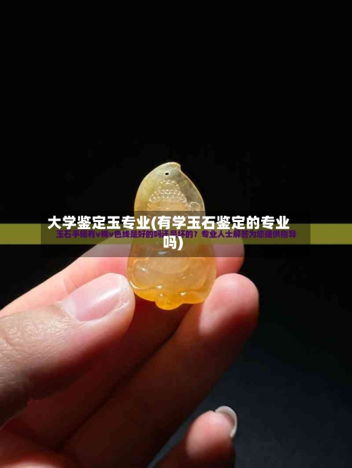 大学鉴定玉专业(有学玉石鉴定的专业吗)-第2张图片
